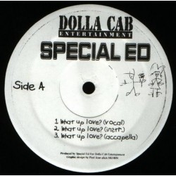 Special Ed ‎– What Up Love? / We Come Again |1999    DC101 -Maxi-Single