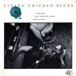 Various– Living Chicago Blues Volume 6 |1980      	Alligator Records 	AL 7706